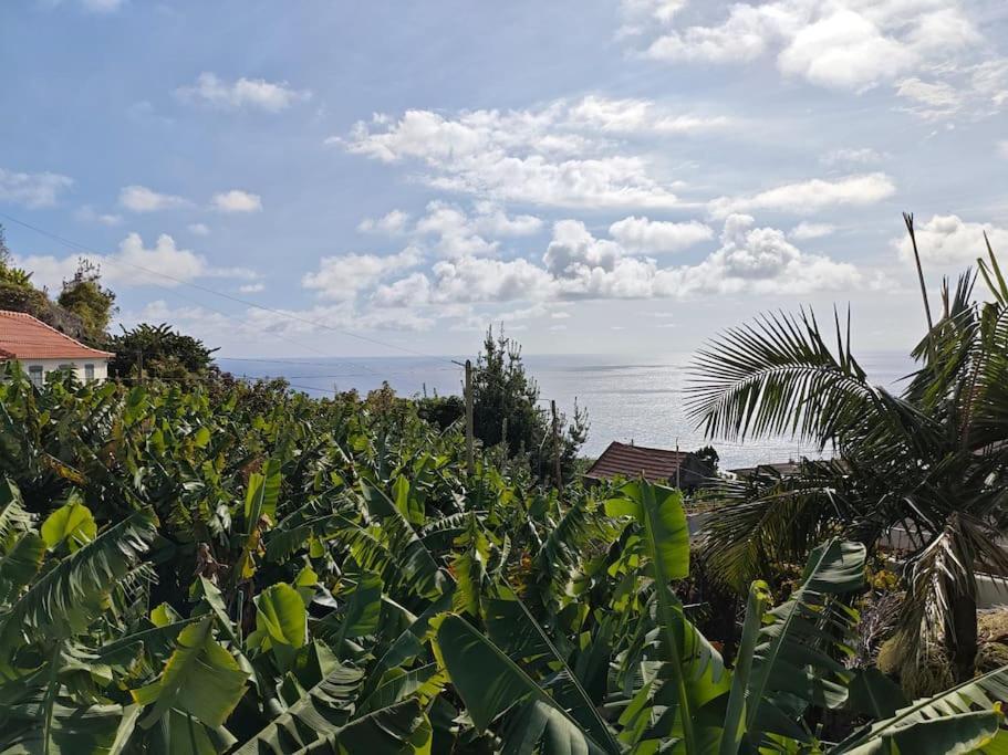 Vаrаndаs Dо Sоl-Vista Relaxante Entre Mar E Montanha Apartment Ponta do Sol  Luaran gambar